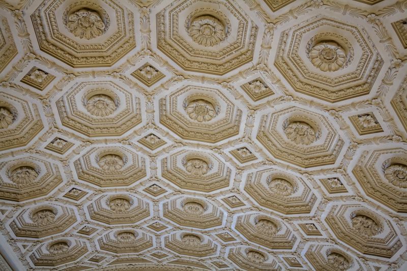 Completed Ceiling Murals