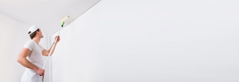 Experienced Painters